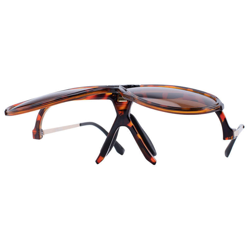 Chute Boss in Tortoise - Sunglasses