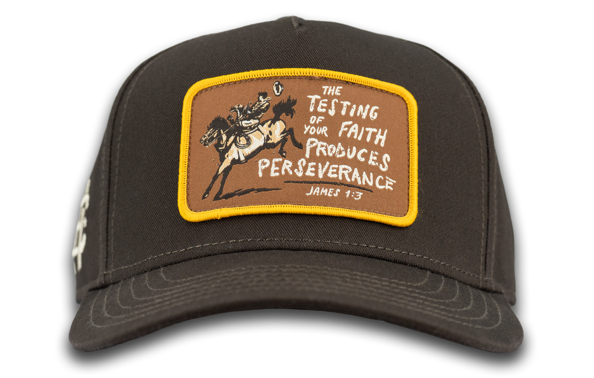 Perseverance