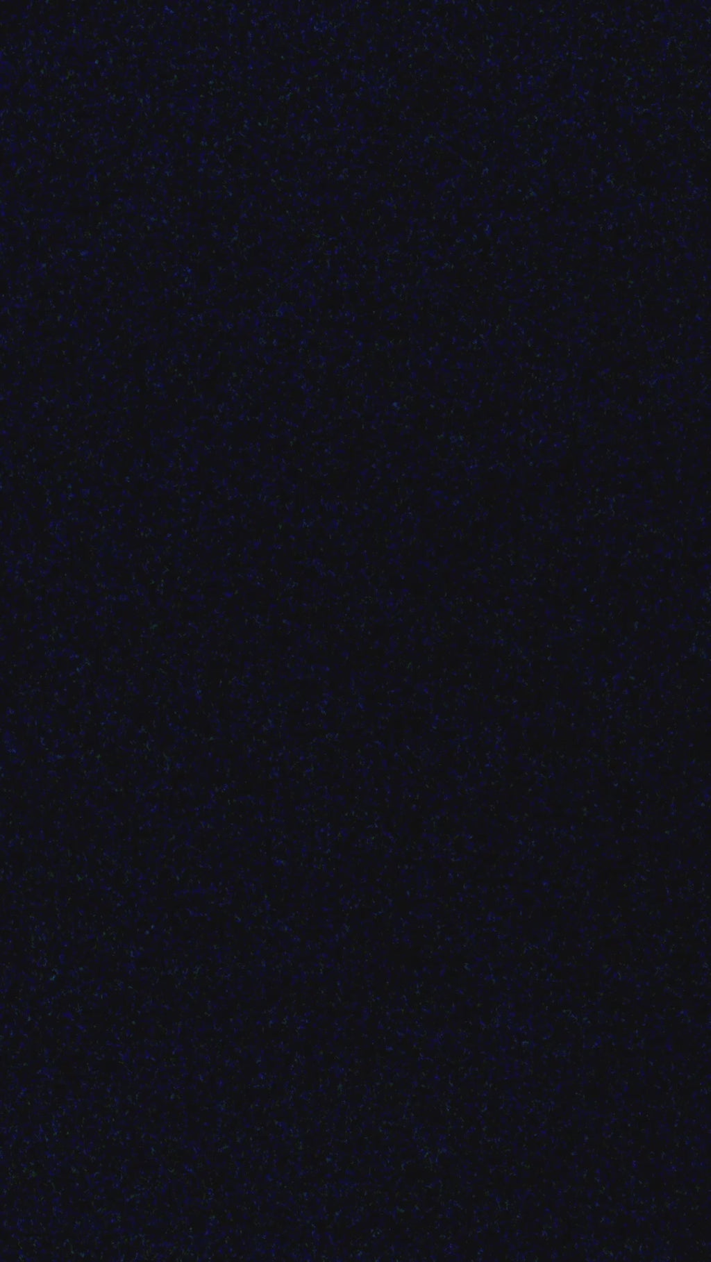 Chute Boss in Midnight - Sunglasses