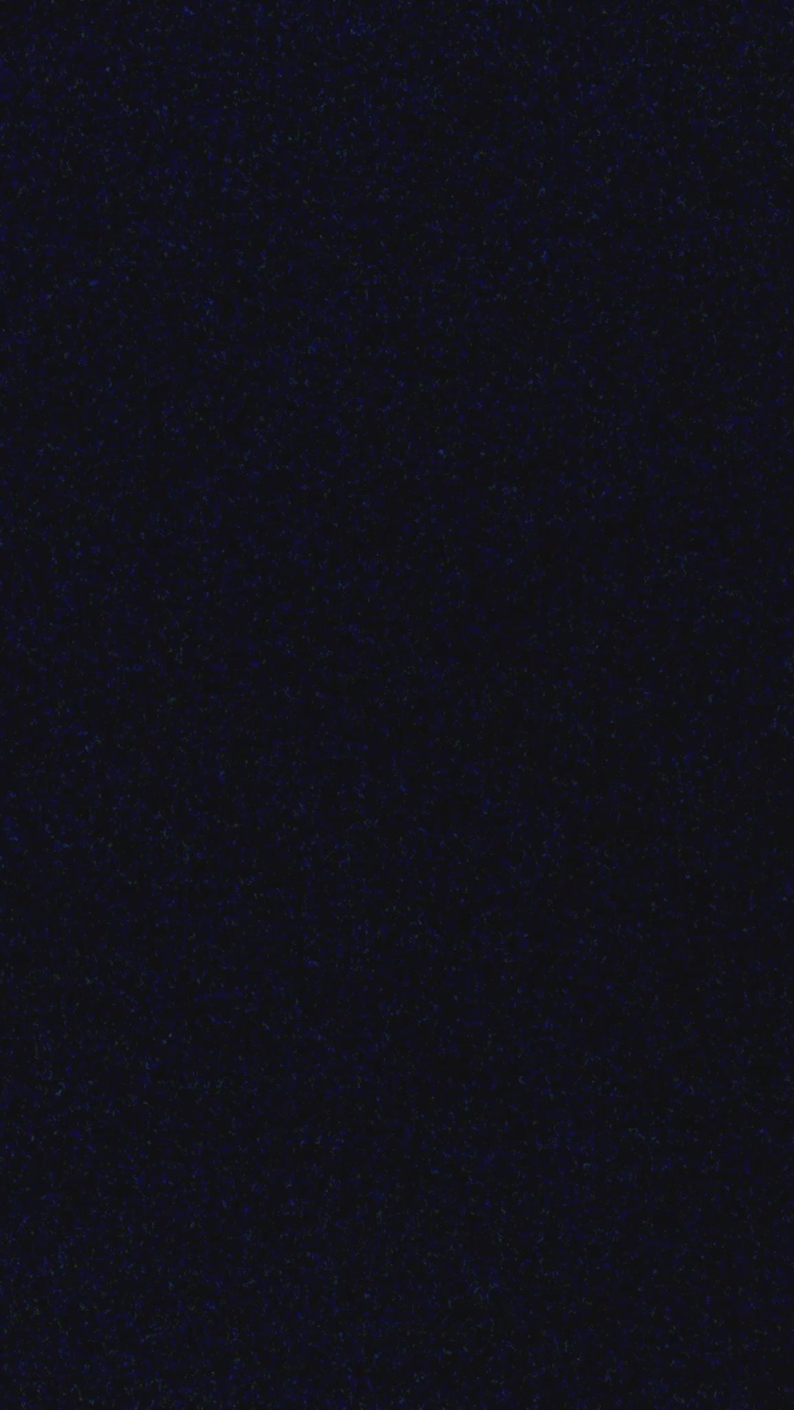 Chute Boss in Midnight - Sunglasses