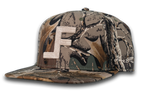 Timberline